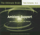 Ambient Support: for Learning, Working, and Creating (Ultimate Brain)