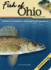 Fish of Ohio Field Guide (Fish Identification Guides)