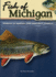 Fish of Michigan Field Guide (Fish Identification Guides)