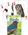 Birds of the Northeast Playing Cards Format: Card Deck