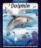 Uncover a Dolphin (Uncover Books)