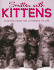 Smitten With Kittens: Musings From the Litterbox of Life [With Kitten Charm]