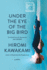 Under the Eye of the Big Bird: a Novel