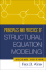 Principles and Practice of Structural Equation Modeling, Second Edition (Methodology in the Social Sciences)