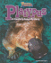 Platypus: a Century-Long Mystery