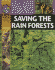 Saving the Rainforest