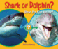 Shark Or Dolphin? : How Do You Know?