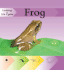 Frog (Looking at Lifecycles)