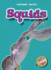 Squids (Paperback)