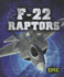 F-22 Raptors (Epic Books: Military Vehicles)