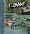 Tsunamis