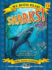 Sharks! (We Both Read-Level 1-2 (Quality))