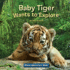 Baby Tiger Wants to Explore