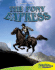 The Pony Express (Graphic History (Graphic Planet))