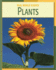 Plants (21st Century Skills Library: Real World Science)