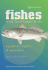 Fishes of the Texas Laguna Madre: a Guide for Anglers and Naturalists (Volume 14) (Gulf Coast Books, Sponsored By Texas a&M University-Corpus Christi)