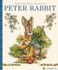 The Classic Tale of Peter Rabbit: a Little Apple Classic (Little Apple Books)