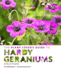 The Plant Lover's Guide to Hardy Geraniums (the Plant Lover? S Guides)