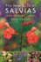 New Book of Salvias