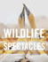 Wildlife Spectacles: Mass Migrations, Mating Rituals, and Other Fascinating Animal Behaviors