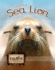 Stellar Sea Lions (Eye to Eye With Endangered Species)