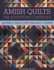 Amish Quiltsthe Adventure Continues: Featuring 21 Projects From Traditional to Modern