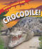 Crocodile! (Animal Danger Zone)