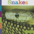 Snakes