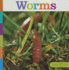 Worms (Seedlings)