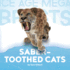 Saber-Toothed Cats (Ice Age Mega Beasts)