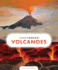 Volcanoes (Earth Rocks! )