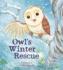 Owl's Winter Rescue