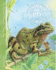 Frog (Animal Diaries)