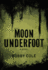 Moon Underfoot