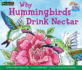 Why Hummingbirds Drink Nectar Leveled Text (Jump Into Genre (En))