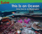 This is an Ocean