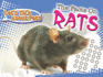 The Facts on Rats