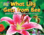 What Lily Gets From Bee: and Other Pollination Facts (Plant-Ology)