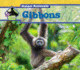 Gibbons (Asian Animals)