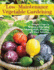 Low-Maintenance Vegetable Gardening: Bumper Crops in Minutes a Day Using Raised Beds, Planning, and Plant Selection (Companionhouse Books) Easy, Beginner-Friendly Techniques for a Productive Garden