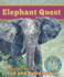 Elephant Quest (Adventures Around the World)