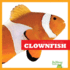 Clownfish (Bullfrog Books: Life Under the Sea)
