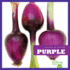 Purple (Bullfrog Books: Colors in Nature)