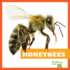 Honeybees (Insect World)