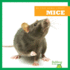 Mice