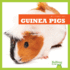 Guinea Pigs (Bullfrog Books: My First Pet)