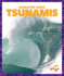 Tsunamis (Pogo: Disaster Zone)