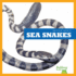 Sea Snakes (Bullfrog Books: Reptile World)
