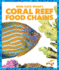 Coral Reef Food Chains Who Eats What