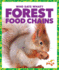 Forest Food Chains (Who Eats What? )